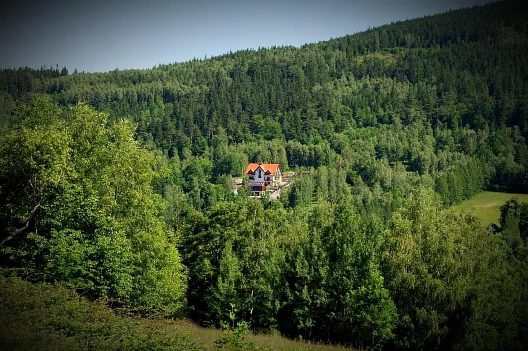 Apartamety I Pokoje Goscinne Na Jaskolczej Swieradow-Zdroj Luaran gambar